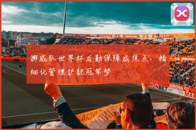 挪威队世界杯后勤保障成焦点,精细化管理护航冠军梦