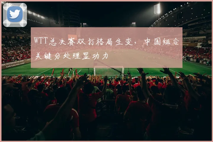 WTT总决赛双打格局生变，中国组合关键分处理显功力