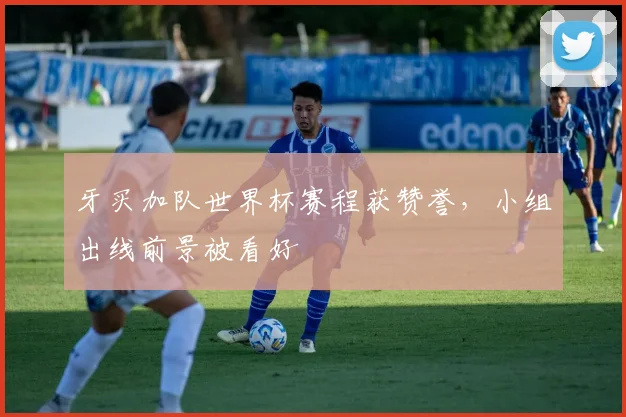 牙买加队世界杯赛程获赞誉,小组出线前景被看好